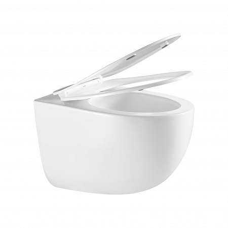 Подвесной унитаз безободковый Terminus Енисей Monolit 560х390 белый Кирово-Чепецк - фото 7 Подвесной унитаз безободковый Terminus Енисей Monolit 560х390 белый Кирово-Чепецк - фото 7