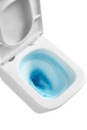 Подвесной унитаз безободковый Terminus Ватикан Monolit 490х340 белый Кирово-Чепецк - фото 8 Подвесной унитаз безободковый Terminus Ватикан Monolit 490х340 белый Кирово-Чепецк - фото 8