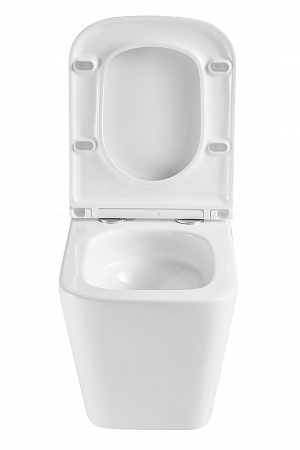 Подвесной унитаз безободковый Terminus Ватикан Monolit 490х340 белый Кирово-Чепецк - фото 7 Подвесной унитаз безободковый Terminus Ватикан Monolit 490х340 белый Кирово-Чепецк - фото 7