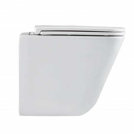 Подвесной унитаз безободковый Terminus Ватикан Monolit 490х340 белый Кирово-Чепецк - фото 4 Подвесной унитаз безободковый Terminus Ватикан Monolit 490х340 белый Кирово-Чепецк - фото 4