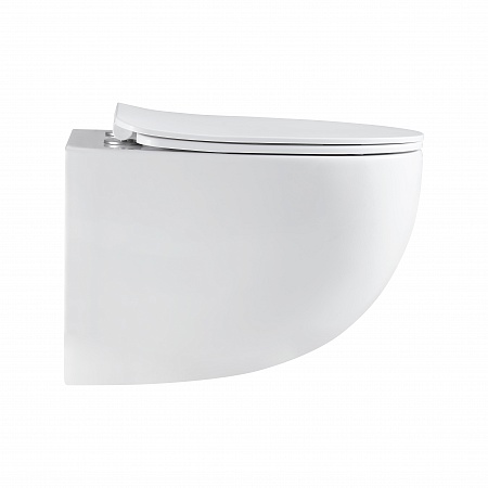 Подвесной унитаз безободковый Terminus Енисей Monolit 560х390 белый Кирово-Чепецк - фото 4 Подвесной унитаз безободковый Terminus Енисей Monolit 560х390 белый Кирово-Чепецк - фото 4