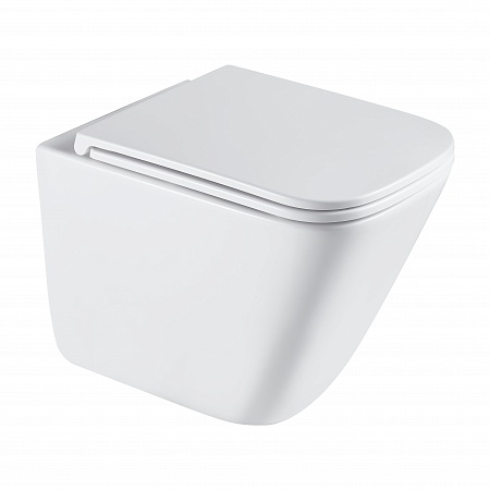 Подвесной унитаз безободковый Terminus Ватикан Monolit 490х340 белый Кирово-Чепецк - фото 2 Подвесной унитаз безободковый Terminus Ватикан Monolit 490х340 белый Кирово-Чепецк - фото 2