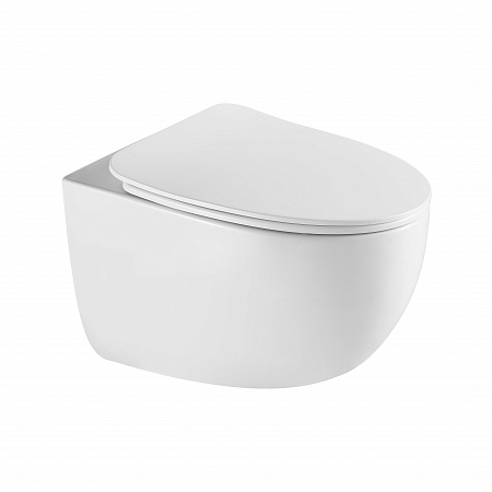 Подвесной унитаз безободковый Terminus Енисей Monolit 560х390 белый Кирово-Чепецк - фото 2 Подвесной унитаз безободковый Terminus Енисей Monolit 560х390 белый Кирово-Чепецк - фото 2