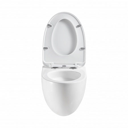 Подвесной унитаз безободковый Terminus Енисей Monolit 560х390 белый Кирово-Чепецк - фото 5 Подвесной унитаз безободковый Terminus Енисей Monolit 560х390 белый Кирово-Чепецк - фото 5