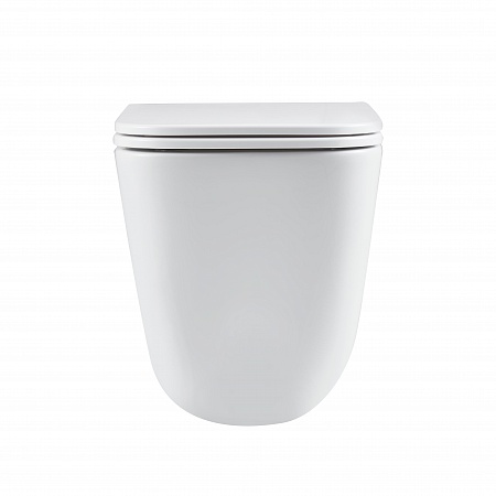 Подвесной унитаз безободковый Terminus Ватикан Monolit 490х340 белый Кирово-Чепецк - фото 6 Подвесной унитаз безободковый Terminus Ватикан Monolit 490х340 белый Кирово-Чепецк - фото 6