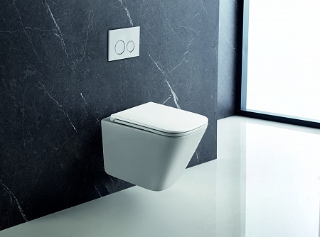 Подвесной унитаз безободковый Terminus Ватикан Monolit 490х340 белый Кирово-Чепецк - фото 1 Подвесной унитаз безободковый Terminus Ватикан Monolit 490х340 белый Кирово-Чепецк - фото 1