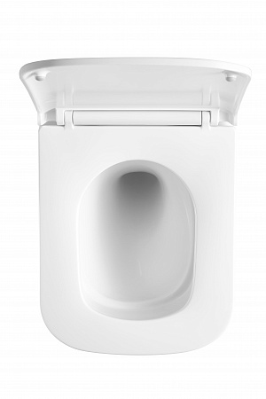 Подвесной унитаз безободковый Terminus Ватикан Monolit 490х340 белый Кирово-Чепецк - фото 3 Подвесной унитаз безободковый Terminus Ватикан Monolit 490х340 белый Кирово-Чепецк - фото 3